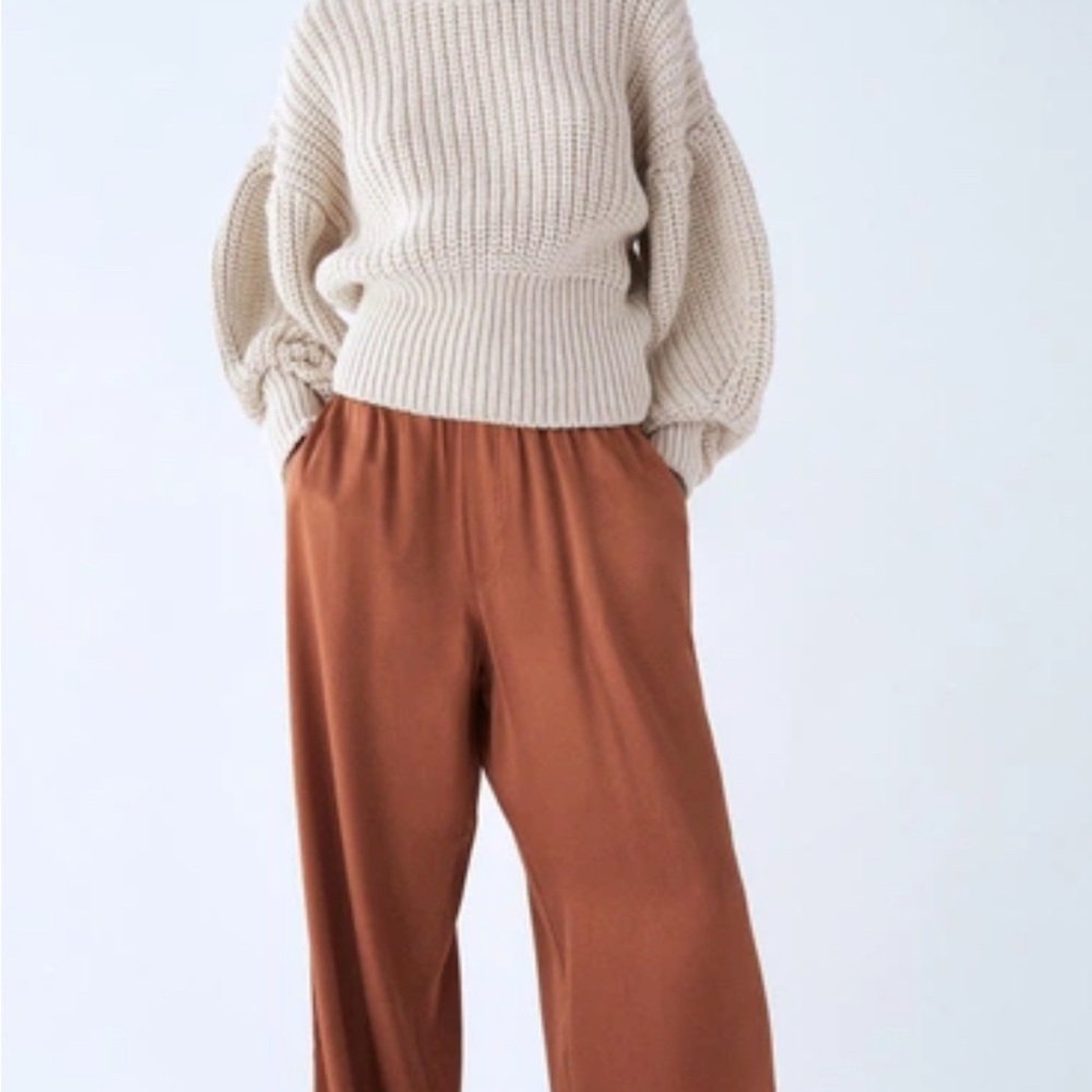 Zara Silk Pants NWT